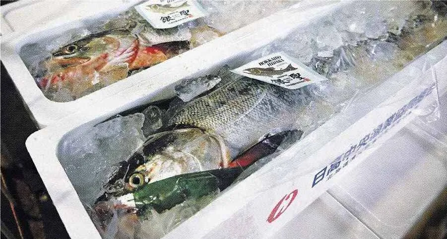 秋サケ 初水揚げ3割減 浦河 道内来遊数 半減見通し：北海道新聞デジタル