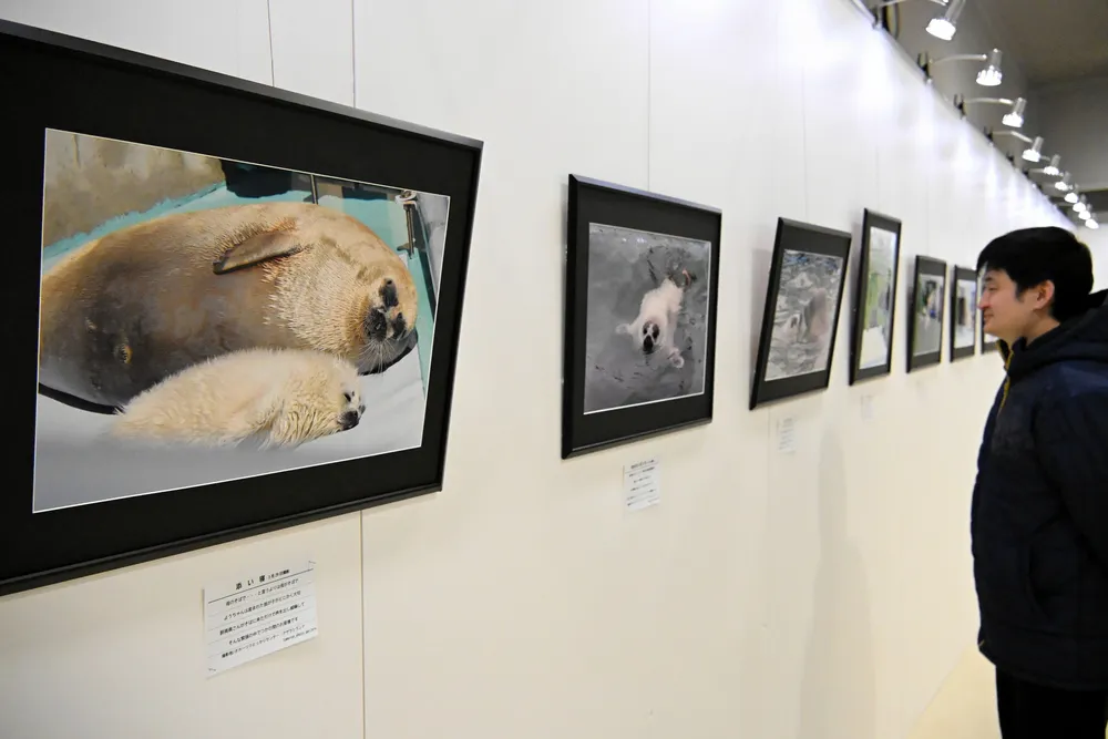 動物や風景、豊かな個性で 「西紋写真部」が紋別で作品展：北海道新聞