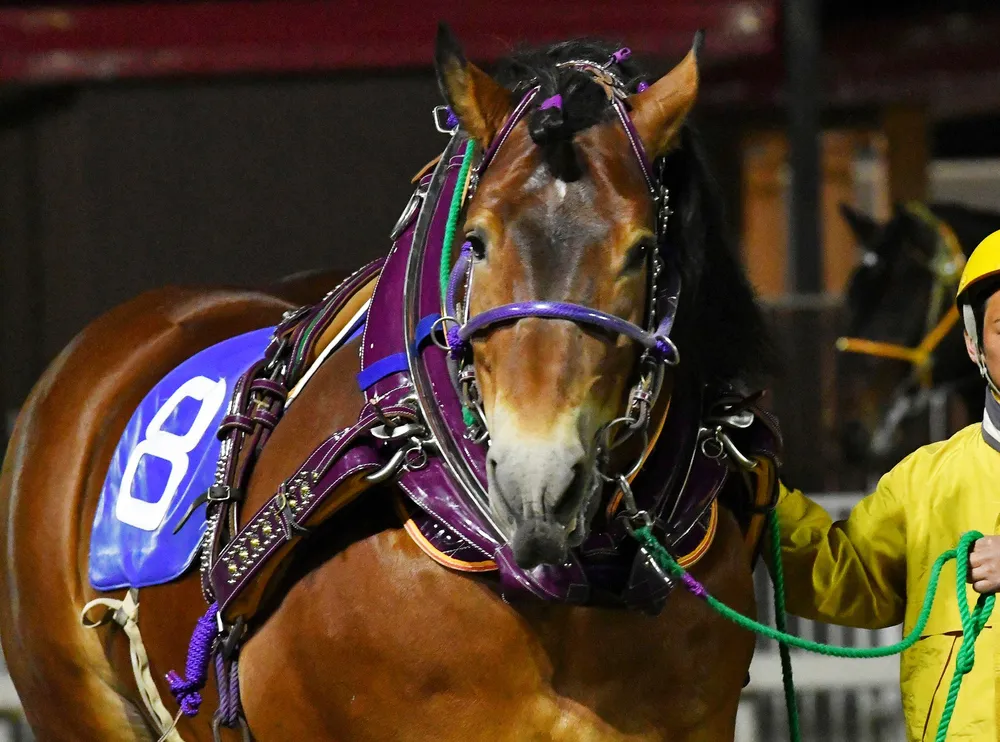 9月15日のレース紹介 第60回岩見沢記念＜ばんえい競馬＞：北海道新聞デジタル