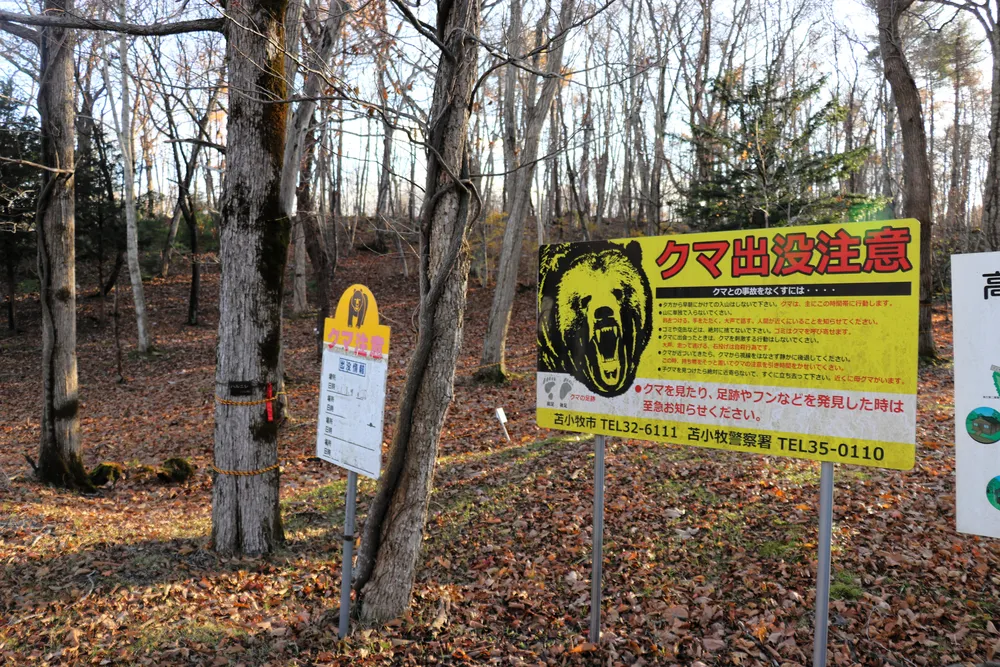 日胆回顧2025＞ヒグマ目撃過去最多 生活圏守る取り組みを：北海道新聞