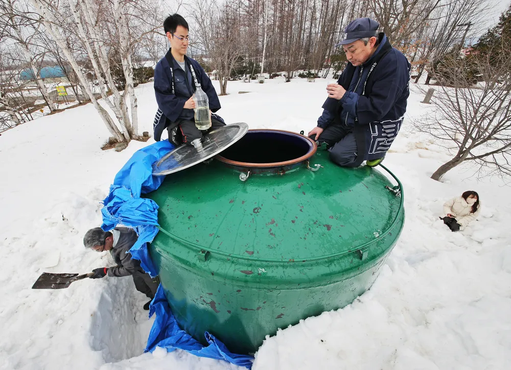 数量限定　　雪貯蔵　ふじ　１０kg 雪中で熟成、香り華やか 高砂酒造が掘り出し 美瑛：北海道新聞デジタル