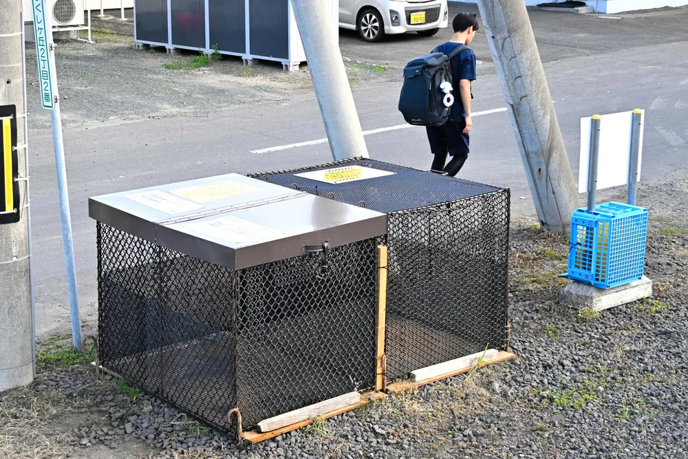 キタキツネごみ荒らし 網走で急増 ステーション天井を鉄板に 市が対策