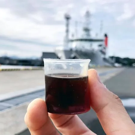 海洋汚染プラ代替に植物由来素材 紙コップやストロー、透明化成功