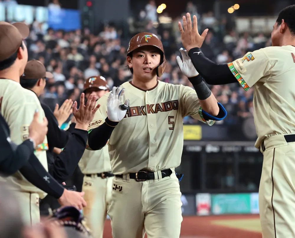 活動歴および当時の関連ビジュアル記録