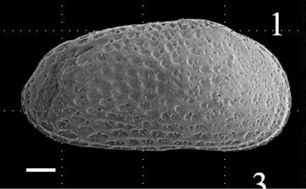 滝川で新属・新種の化石発見 地元出身の北海道大院生 幼少期から通った