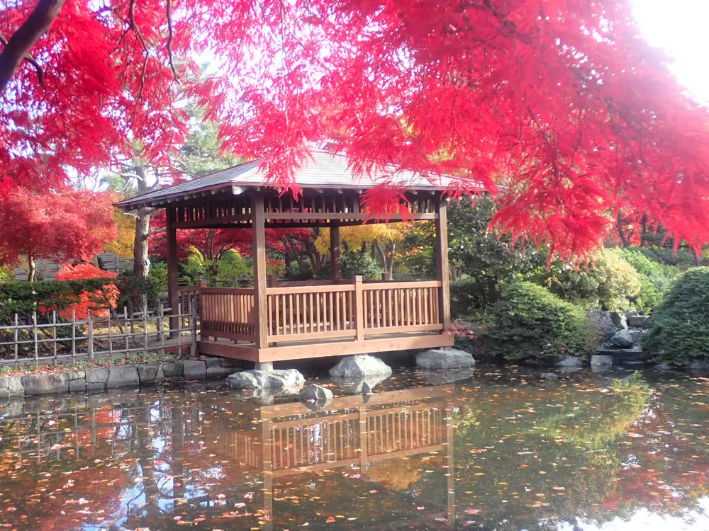 札幌】人混みを避けてのんびり。座ってゆっくり秋を愛でる「紅葉穴場