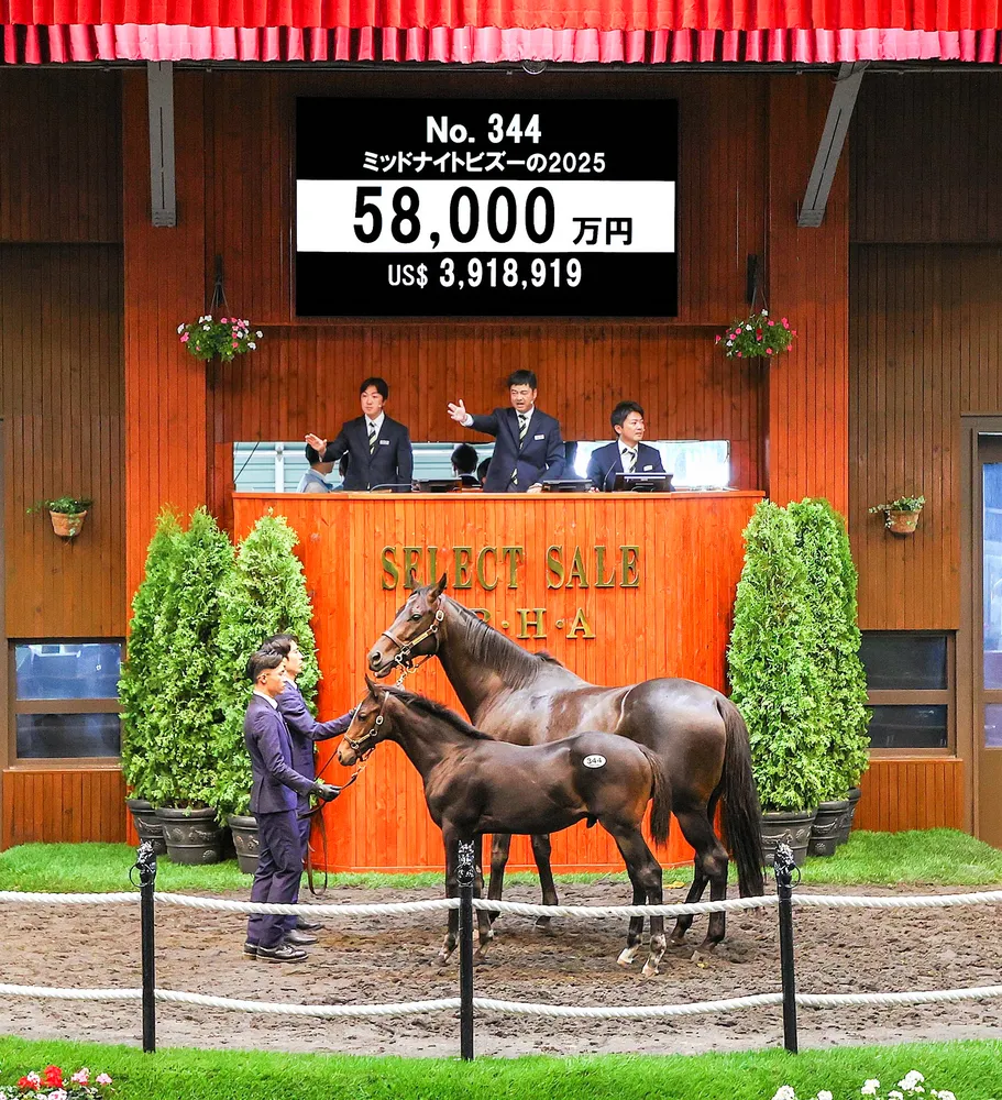 かなり前の競馬の景品の置物です。多分。 91yUn92HMzL._UF350,350_QL50_.jpg