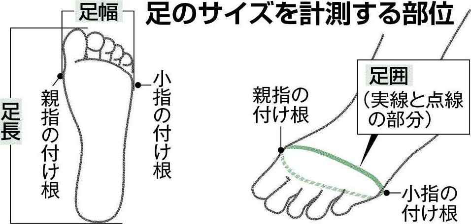 年寄り 人気 靴サイズ