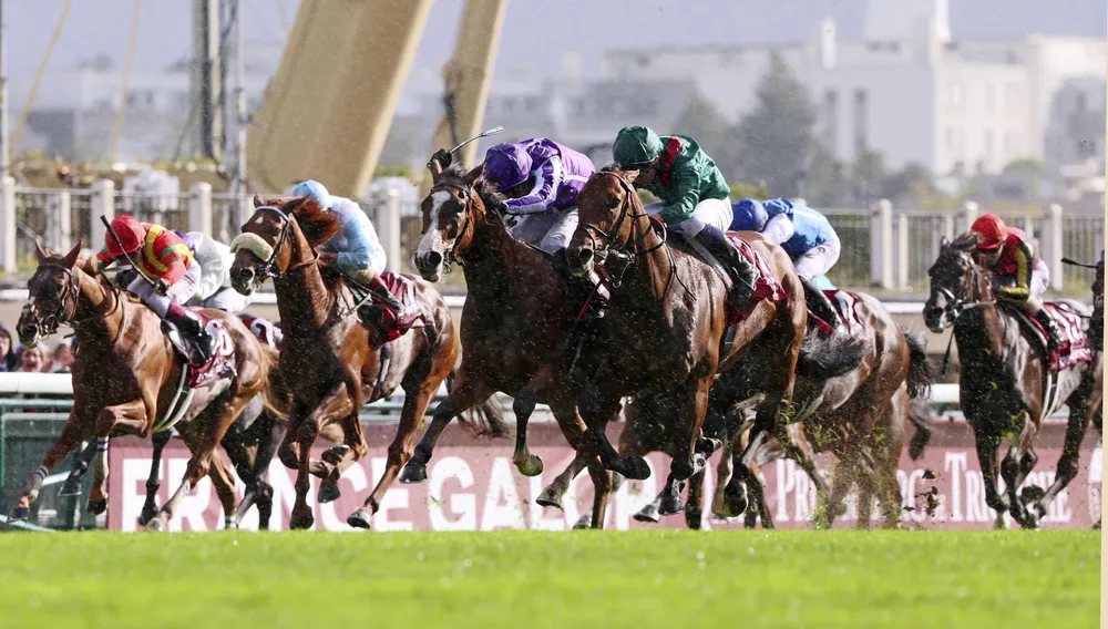 凱旋門賞、日本馬優勝ならず ビザンチンドリームの5着が最高：北海道