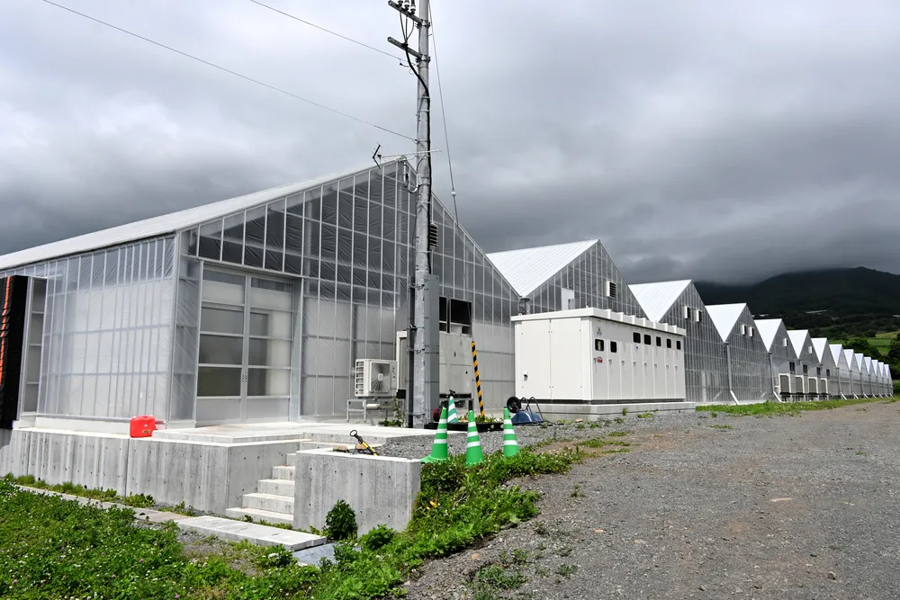 スプラウト生産施設、伊達に完成 国内最大手・村上農園 7月から本格