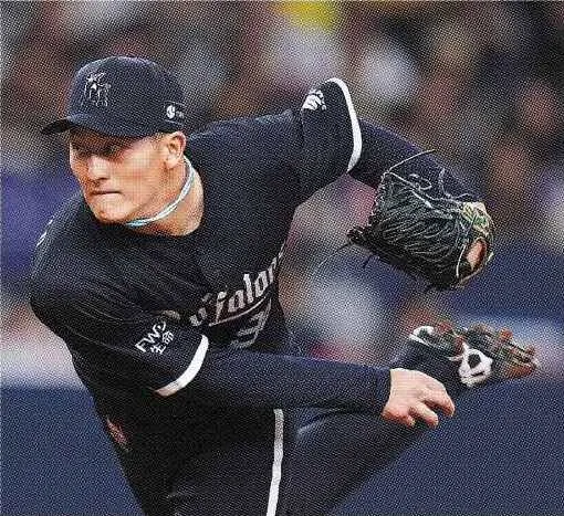 プロ野球 パリーグ、セリーグ＞29日 阪神 連覇へM23：北海道新聞デジタル