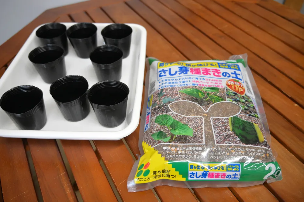 ＜その道のプロに聞く！＞花づくり　種から育てる「育苗」を