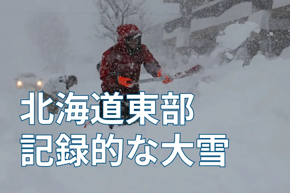 最安値級価格 れ@大雪のため発送にお時間頂きます様 専用ページ つなが ぬいぐるみ