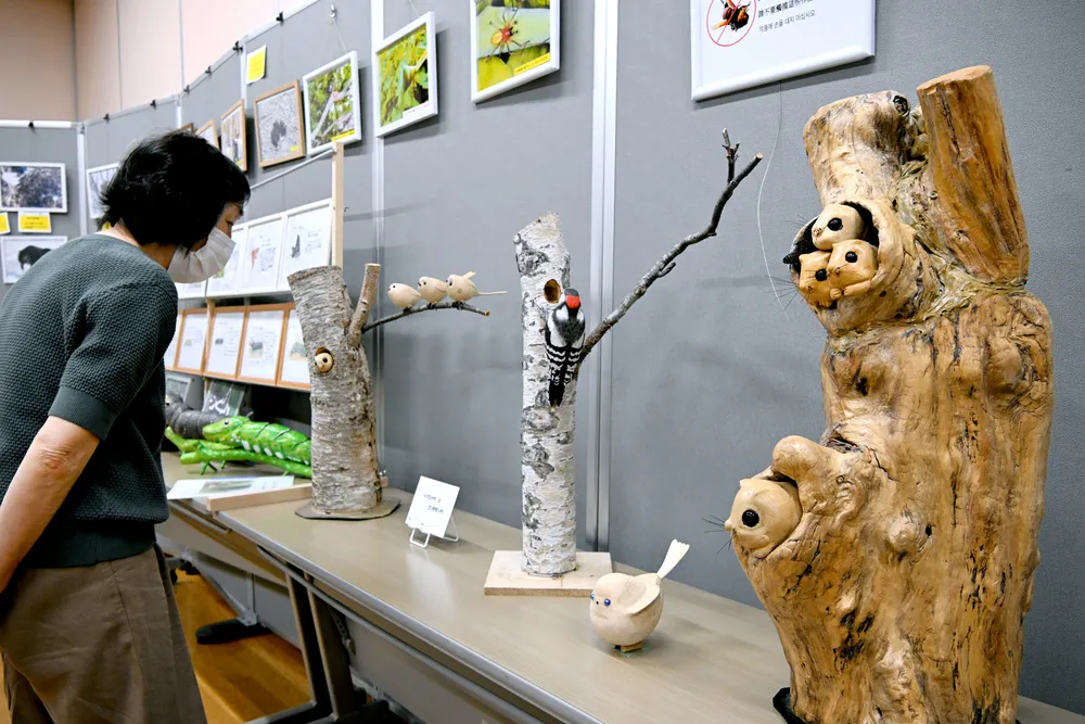 千歳に暮らす生き物をテーマにした木彫り作品などが並ぶ会場