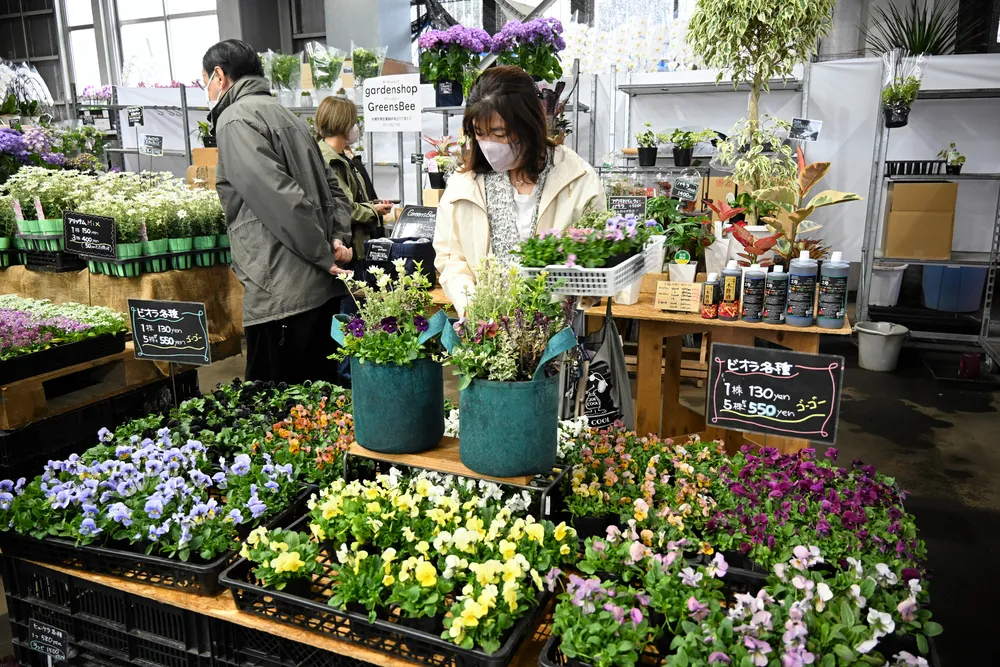 多彩な花が並んだ「春の花即売会」の会場