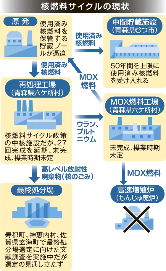 核燃料サイクル関連核種の安全性評価 比較放射毒性学  /日刊工業新聞社/松岡理（単行本） 核燃料サイクル関連核種の安全性評価 比較放射毒性学 /日刊工業