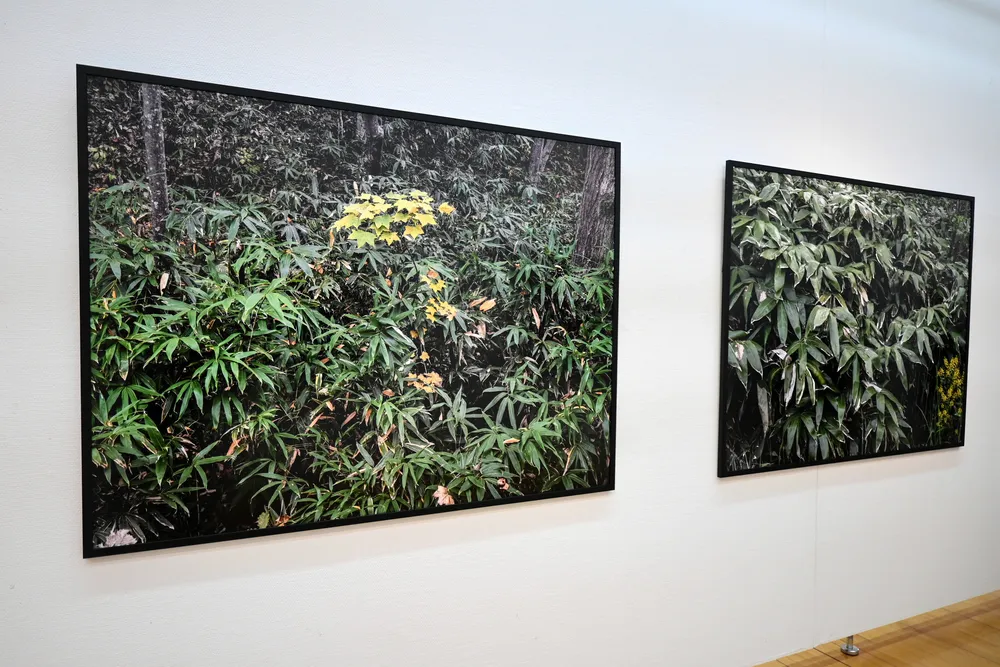 展覧会＞大橋英児写真展「Your eyes are our eyes－囚人道路