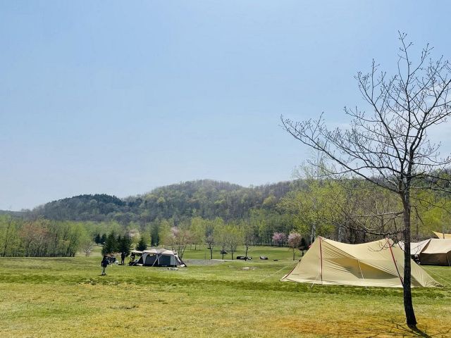 サホロ湖キャンプ場のサイト風景