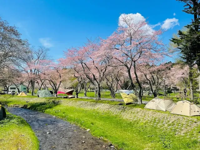 長万部公園キャンプ場のサイト風景