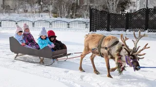 トナカイお尻ぷりぷり」 雄武のこども園でXマス会：北海道新聞デジタル