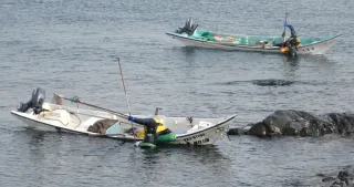 ウニ今季初水揚げ５６０キロ　雄武で漁始まる　初日は２０戸が出漁