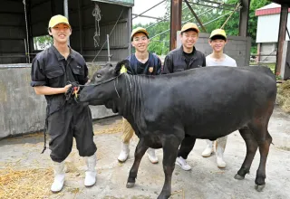 十勝総合畜産共進会に出品する「さくらこ」と更別農業高の生徒たち