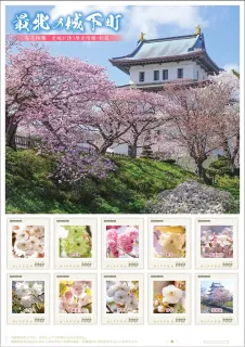 松前公園内の桜、フレーム切手に 日本郵便道支社：北海道新聞デジタル