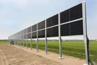 作物育てながら太陽光発電　トドック電力、むかわで「営農型」稼働