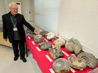 希少アンモナイト、三笠で発見 国内46年ぶり ノワキテス属 大型 希少アンモナイト、三笠で発見 国内46年ぶり ノワキテス属 大型