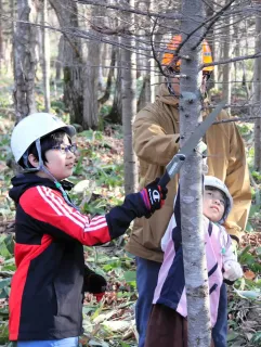 保全林の枝打ち体験　雄武でみどりと親しむつどい