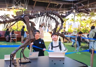 むかわ竜レプリカ間近に 札幌で4月5日まで催し 化石クリーニング体験も
