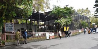札幌・円山動物園「北海道ゾーン」整備へ　２年かけ調査　猛禽舎、こども園改築も