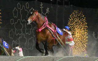 情報パドック 鈴木恵介騎手3500勝 記録よりも馬の勝利を優先
