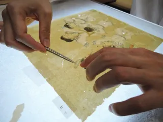 ＜ウポポイ　オルシペ＞130　収蔵資料展　収集と修復、舞台裏紹介