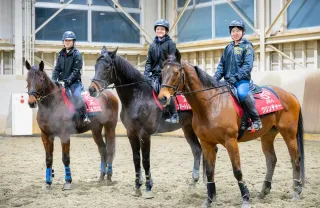 函館少年団3人、馬術で全国 道大会の表彰台独占 「やってきたこと