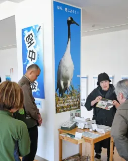 実物大の写真パネルなどの展示物を準備した「きたひろタンチョウ見守る会」のメンバーら