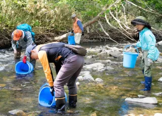 ヤマメの稚魚を芦別川に放流する「芦別山女魚を守る会」の会員たち（芦別山女魚を守る会提供）