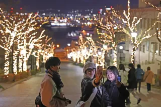 函館の夜がクリスマス色に　市内各地でイルミ始まる