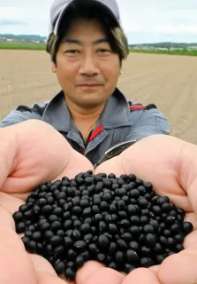 大豆　シュウリュウ　20kg 大豆 20kg シュウリュウ 100％品質 楽天市場】大豆 20kgの通販