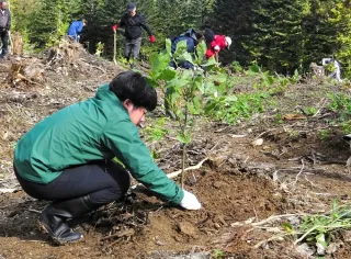 広葉樹の資源増へ苗木500本植樹　旭川で上川管内の木材業者ら