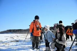 「野鳥の宝庫」根室の魅力実感　風蓮湖などでフェス開幕