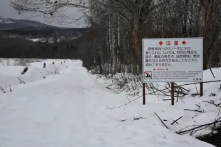 昆布岳にモービル乗り入れやめて　後志総合振興局、地元事業者に要請