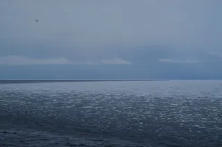 流氷、紋別沖90キロに　海保巡視船が目視観測