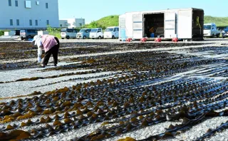 感性の息吹 浅原千代治・ガラスの世界 市立小樽美術館特別展＞④装飾美