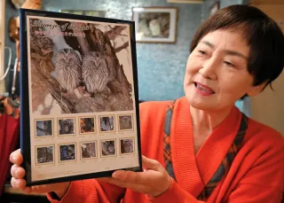 エゾフクロウ切手　幸せ運んで　釧路の渡辺さん、表情とらえ30年