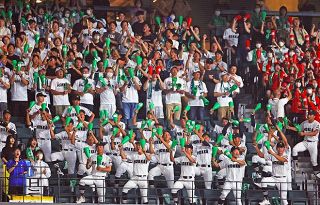 北海６年ぶりに甲子園で叫ぶ♪アゲアゲホイホイ　発案者の報徳学園ＯＢも「一体感すげぇ」＜デジタル発＞