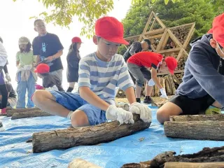 「虫のいえ」にたくさんいたよ　遠軽の4小　木を取り出し昆虫採集