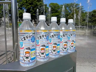 幻の酒求め、長蛇の列 「北の勝 搾りたて」 根室市内で発売
