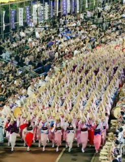 踊るあほう」街中にあふれる 阿波おどり2日目、鬼滅の刃登場:北海道 踊るあほう」街中にあふれる 阿波おどり2日目、鬼滅の刃登場:北海道