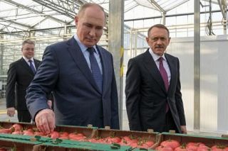 ロシア、農業増産で継戦能力維持　食料安保と収入確保